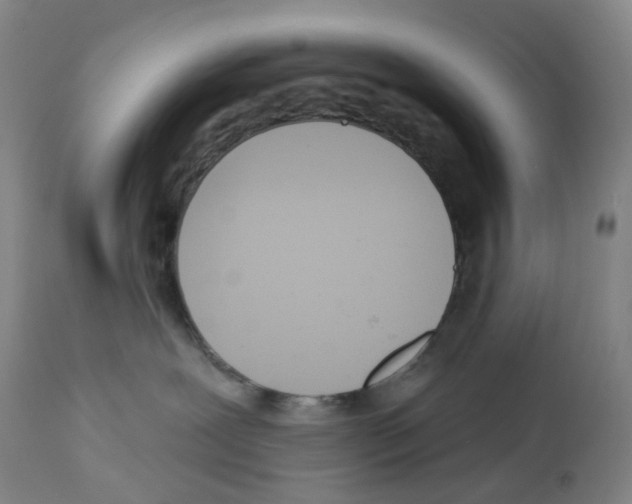 X0000112940239200910051203