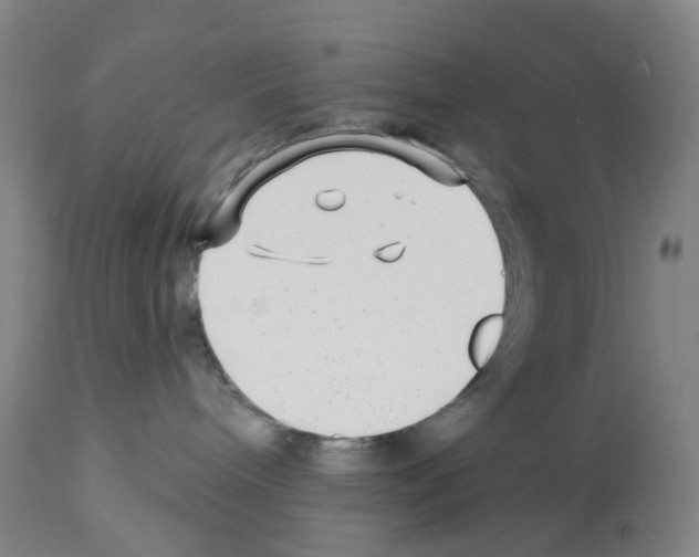 X0000112940240200910051203