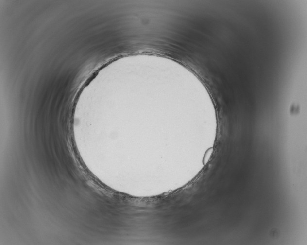 X0000112940241200910051202