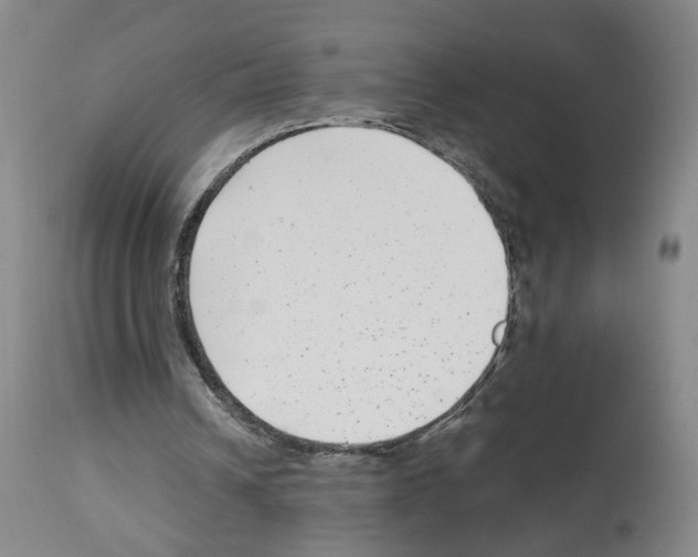 X0000112940242200910051202