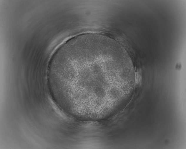 X0000112940243200910051202