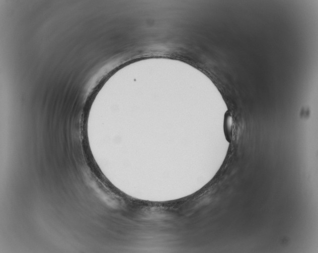 X0000112940244200910051202