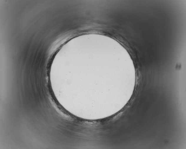 X0000112940245200910051202