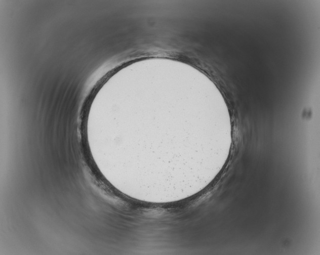 X0000112940246200910051202