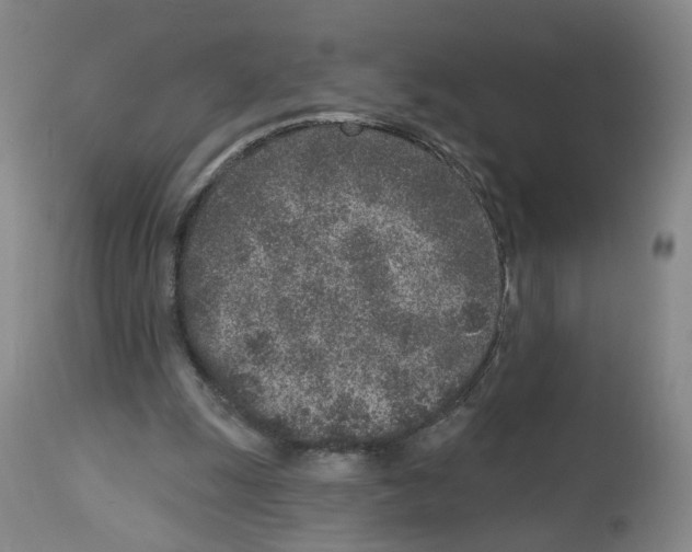 X0000112940247200910051202