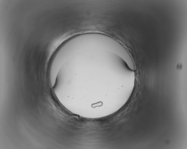 X0000112940248200910051202
