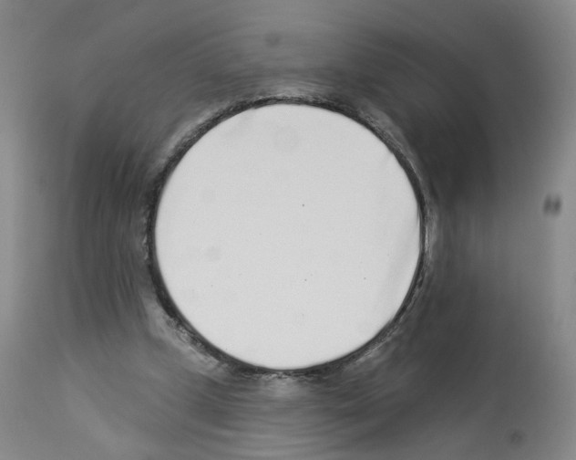 X0000112940249200910051202
