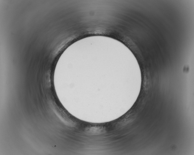X0000112940251200910051202