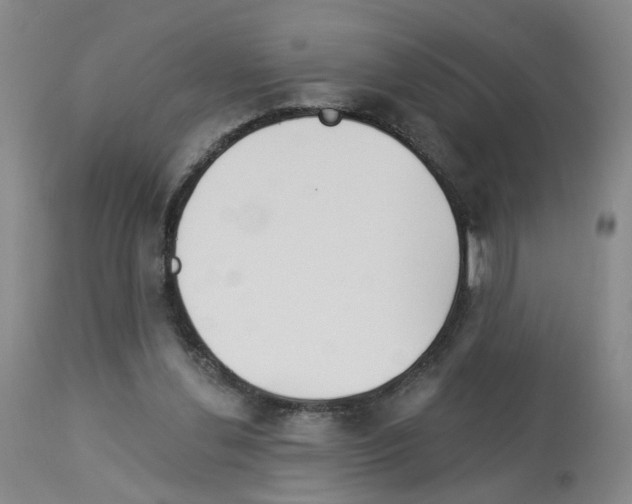X0000112940252200910051202