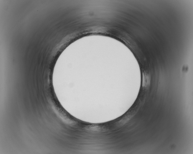 X0000112940253200910051202
