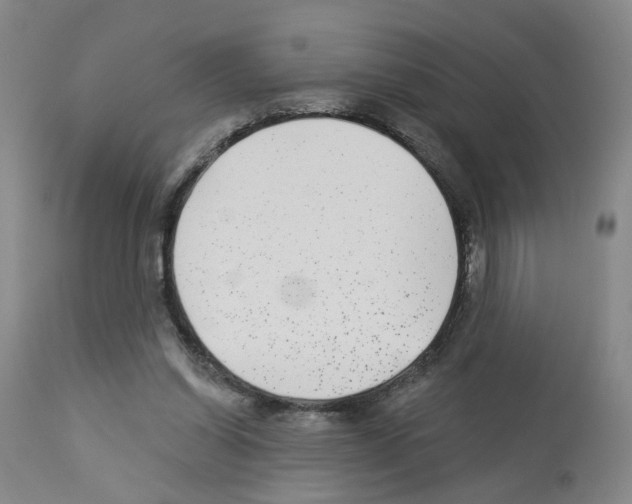 X0000112940254200910051202