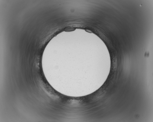 X0000112940255200910051202