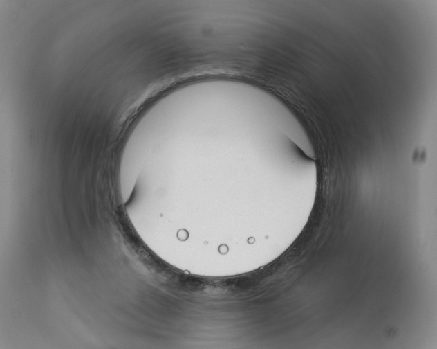 X0000112940256200910051202