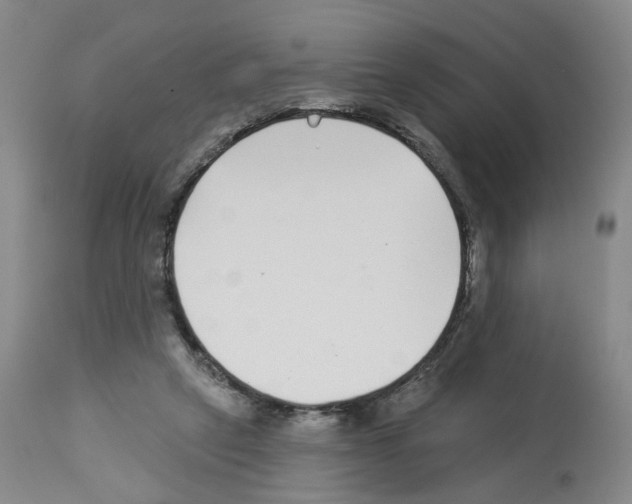 X0000112940257200910051202