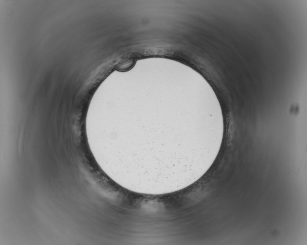 X0000112940258200910051202