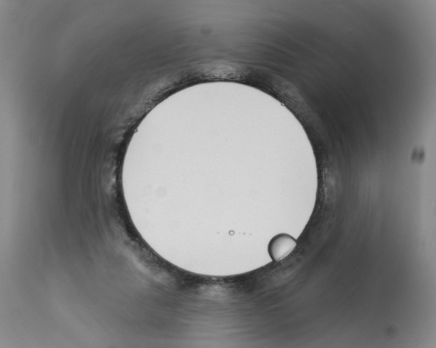 X0000112940259200910051202