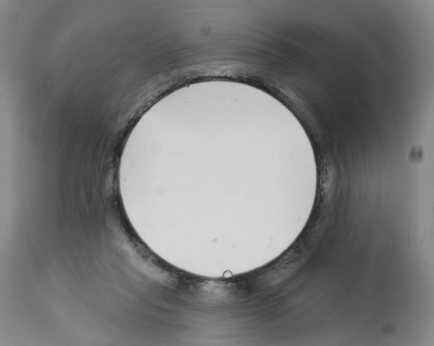 X0000112940261200910051202