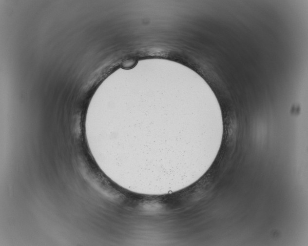 X0000112940262200910051202