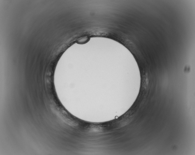 X0000112940263200910051202
