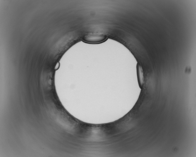 X0000112940264200910051202