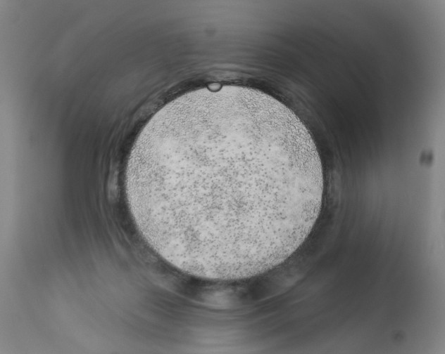 X0000112940267200910051203
