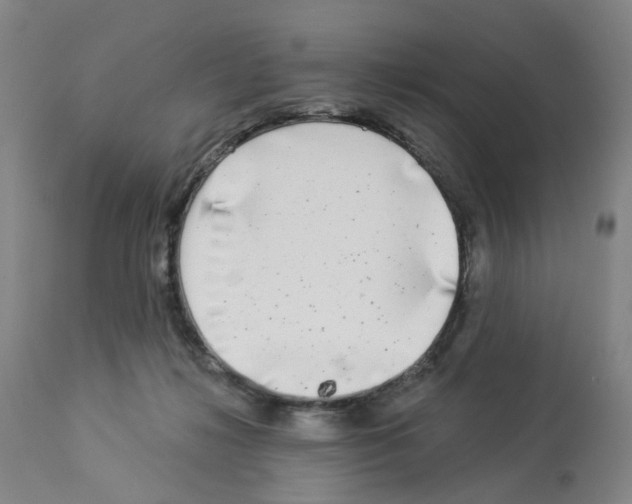 X0000112940268200910051203