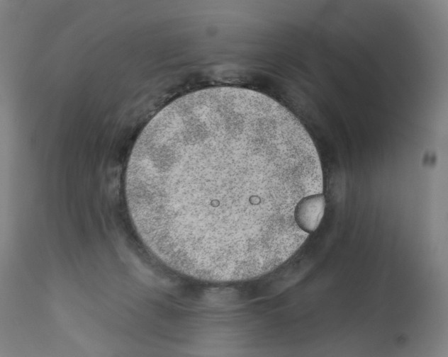 X0000112940271200910051203