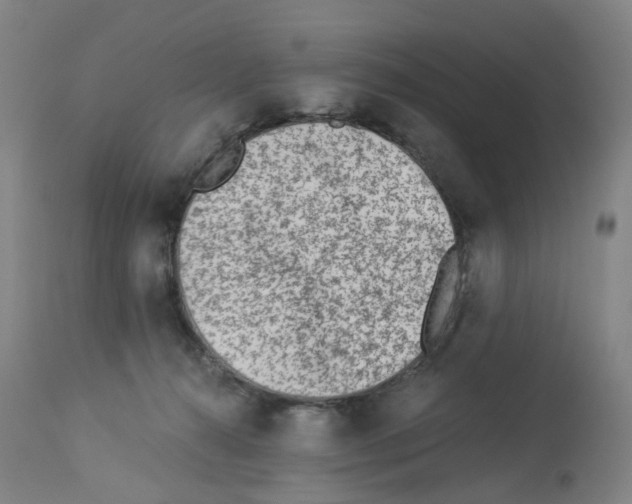 X0000112940272200910051203