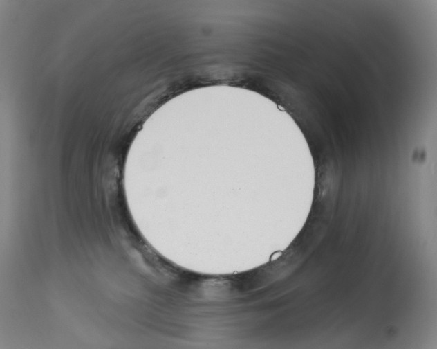 X0000112940279200910051203