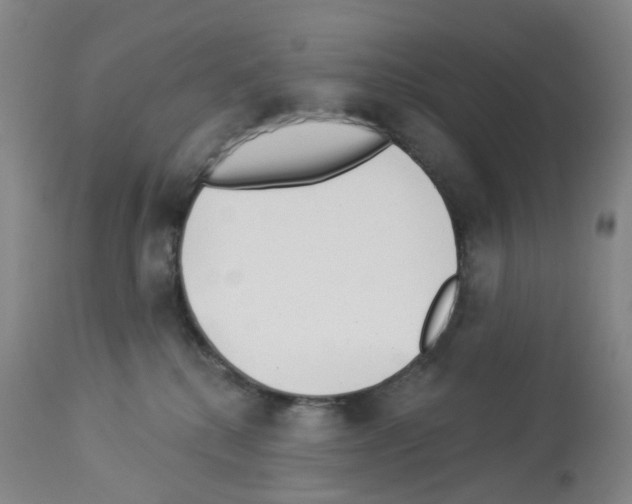X0000112940280200910051203
