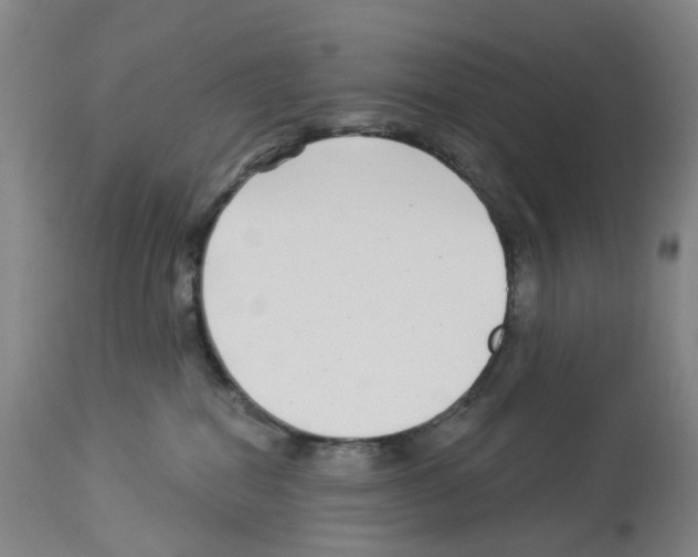 X0000112940282200910051203