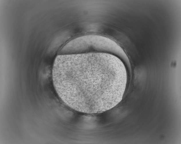 X0000112940284200910051203