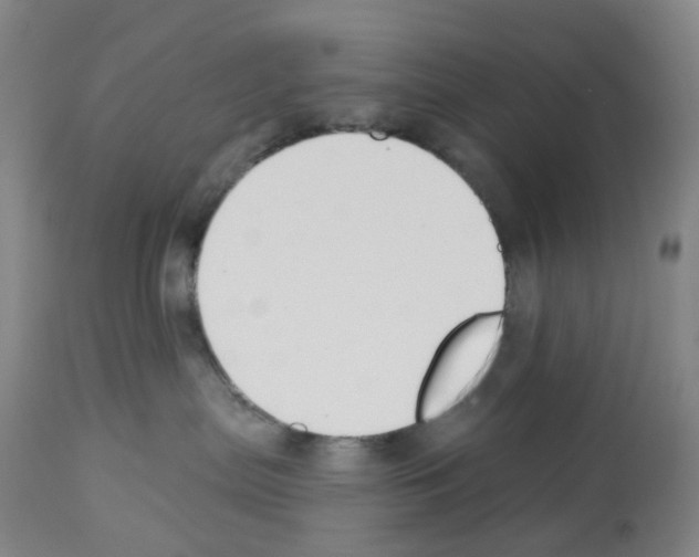 X0000112940287200910051203