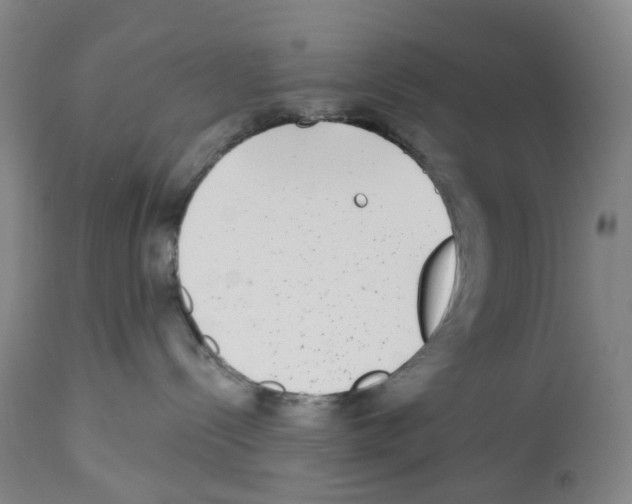 X0000112940288200910051203