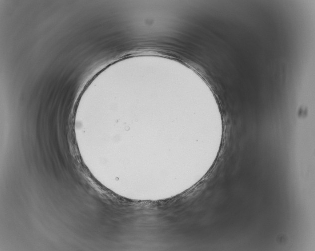 X0000112940289200910051202
