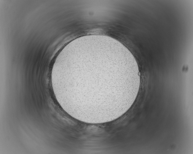 X0000112940290200910051202