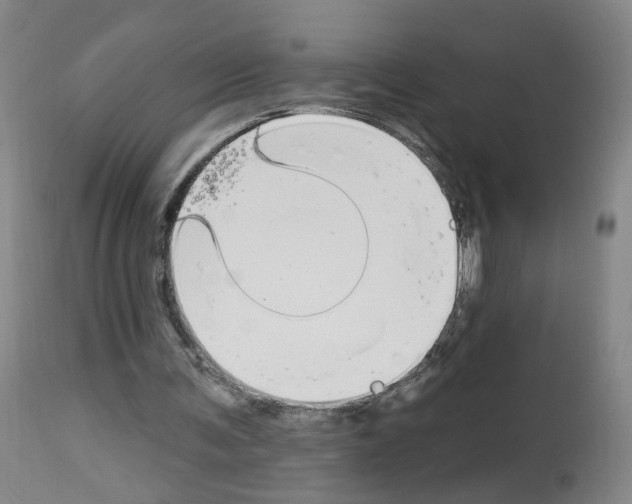 X0000112940291200910051202