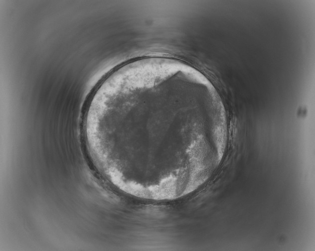 X0000112940292200910051202
