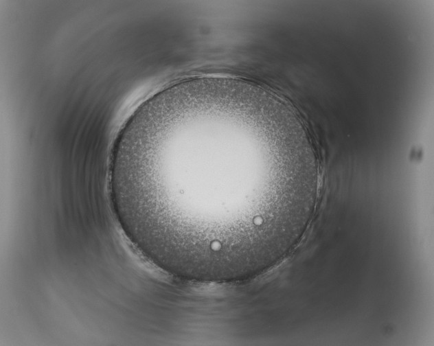 X0000112940293200910051202