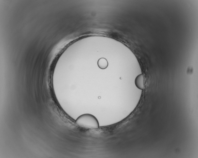 X0000112940294200910051202