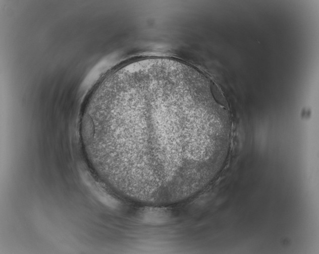 X0000112940296200910051202