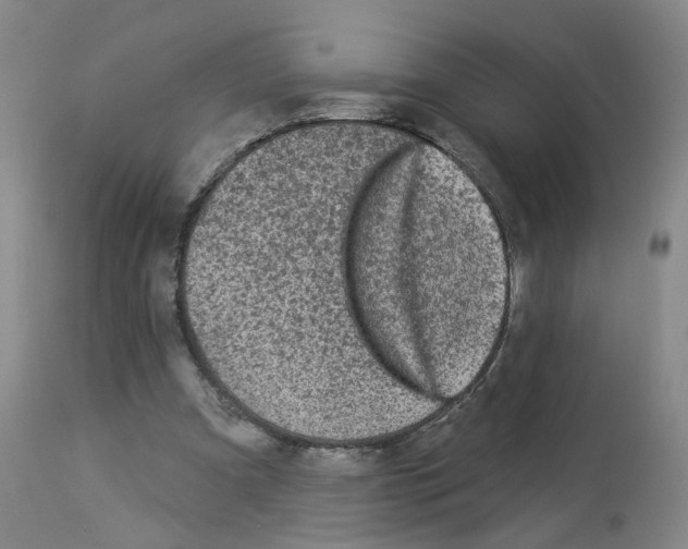 X0000112940297200910051202