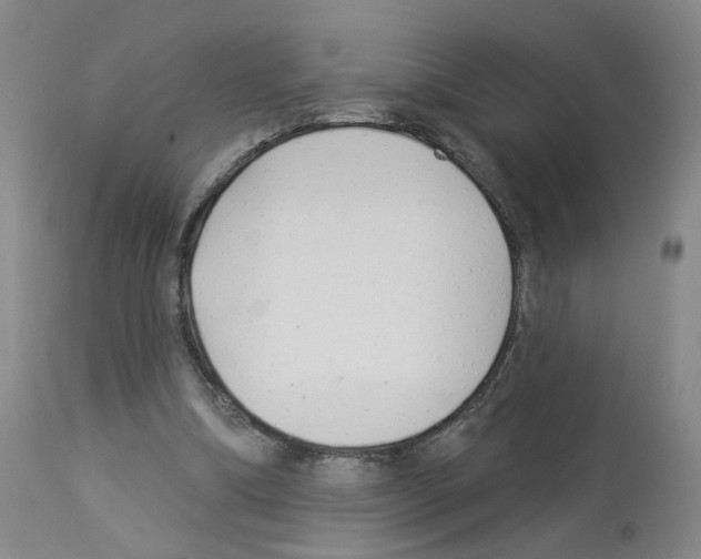 X0000112940298200910051202