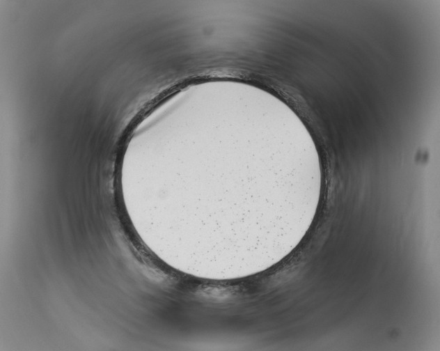 X0000112940299200910051202