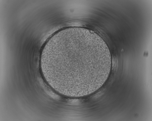 X0000112940301200910051202