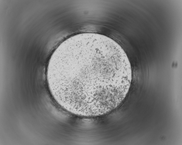 X0000112940302200910051202