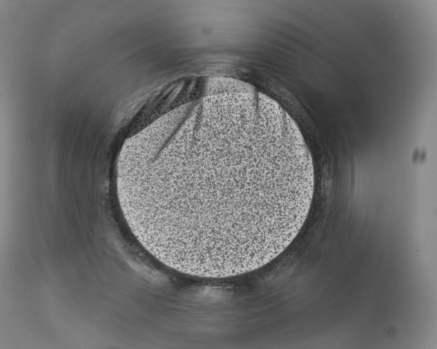 X0000112940303200910051202