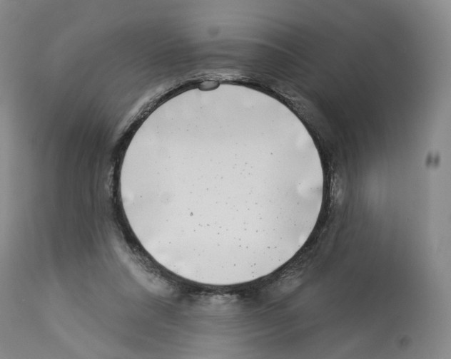 X0000112940304200910051202