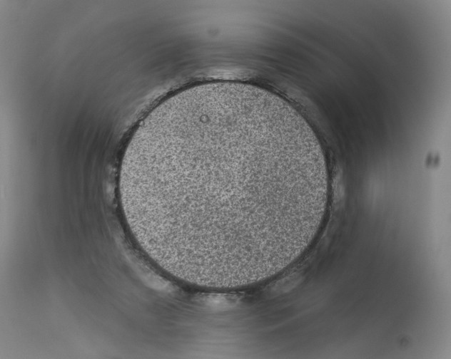 X0000112940305200910051202