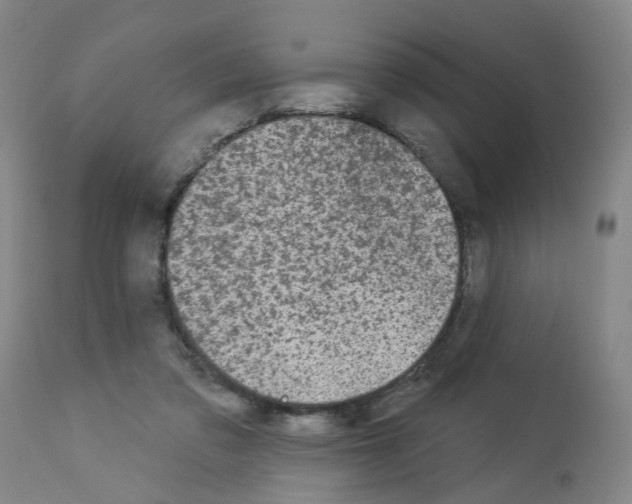 X0000112940309200910051202